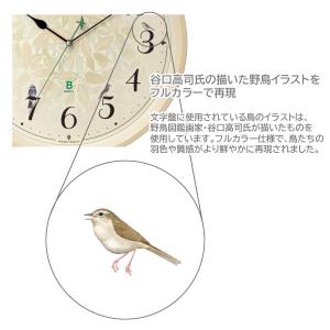 リズム 電波掛時計/日本野鳥の会 四季の野鳥 ...の詳細画像5