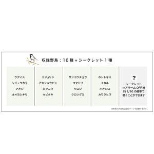 8月下旬より再入荷 野鳥の声で朝をお知らせ 連...の詳細画像5