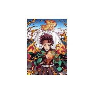 鬼滅の刃 テレビシリーズ 1〜11（全巻）セット 完全生産限定版 [DVD