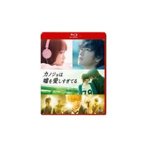 スタンダード・エディション(Blu-ray)(ハ取) 邦画 Blu-ray/カノジョは嘘を愛しすぎて...