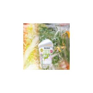 BiSH CD+DVD/KiND PEOPLE/リズム 19/11/6発売 オリコン加盟店 - 最安値