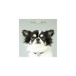 大塚愛　CD/犬塚 愛 One on One Collaboration 21/2/3発売 オリコン加盟店｜ajewelry