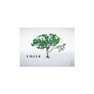 先着特典終了 通常盤 V6 3CD/Very6 BEST 21/10/26発売 オリコン