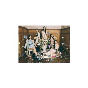 初回生産限定盤 (取) DVD付 BOX仕様/フォトブック/トレカ/応募シリアル