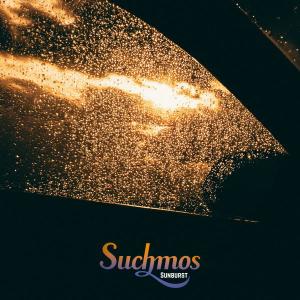 Suchmos/LOVE＆VICE(初回限定盤)/CD◇新品Ss（ゆうパケット対応