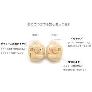 日本製 Nikon ニコン・エシロール/アナロ...の詳細画像3