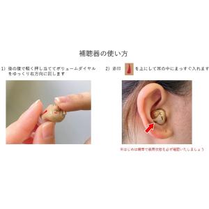 日本製 Nikon ニコン・エシロール/アナロ...の詳細画像4