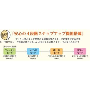 日本製 Nikon ニコン・エシロール/デジタ...の詳細画像2
