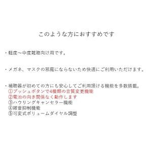 日本製 Nikon ニコン・エシロール/デジタ...の詳細画像4