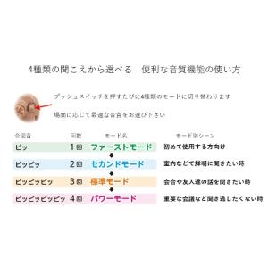 日本製 Nikon ニコン・エシロール/デジタ...の詳細画像5