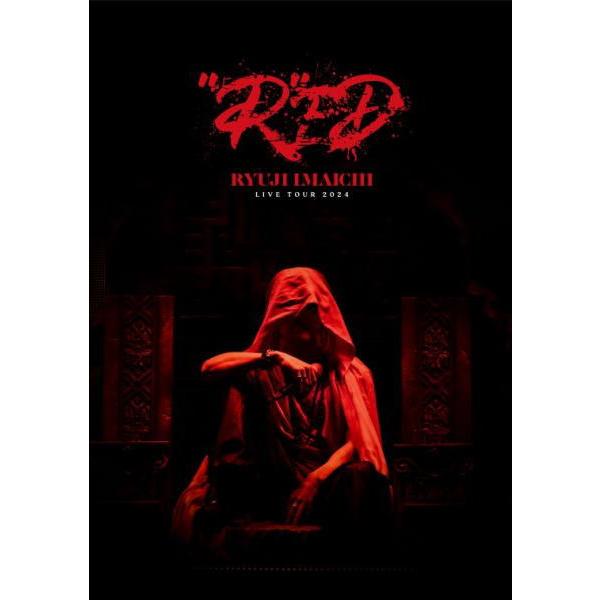 初回仕様 フォトブック 今市隆二 2DVD/RYUJI IMAICHI LIVE TOUR 2024...