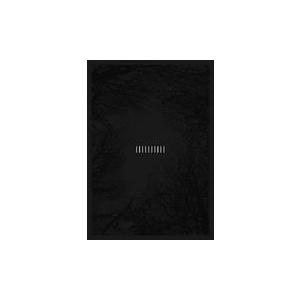 the GazettE DVD/the GazettE 10TH ANNIVERSARY THE DECADE LIVE