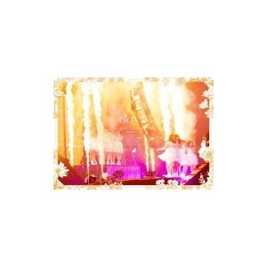 ソニーミュージック（Sony Music） 通常盤(取) 乃木坂46 2DVD/7th YEAR