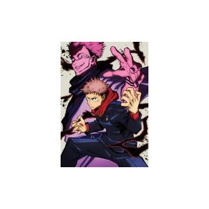 初回生産限定版(ハ取）描き下ろし三方背ケース ドラマCD付他 TVアニメ Blu-ray+CD/呪術...