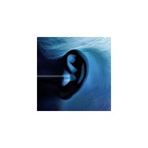 通常盤 神はサイコロを振らない 2CD/事象の地平線 22/3/2発売