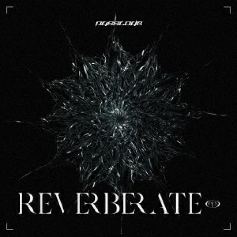 通常盤 PassCode CD/REVERBERATE ep. 2 22/12/21発売【オリコン加...