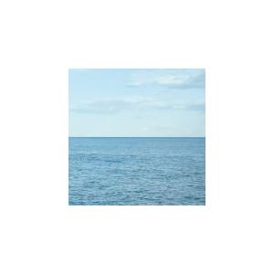 RADWIMPS CD/2+0+2+1+3+1+1= 10 years 10 songs 21/3/...