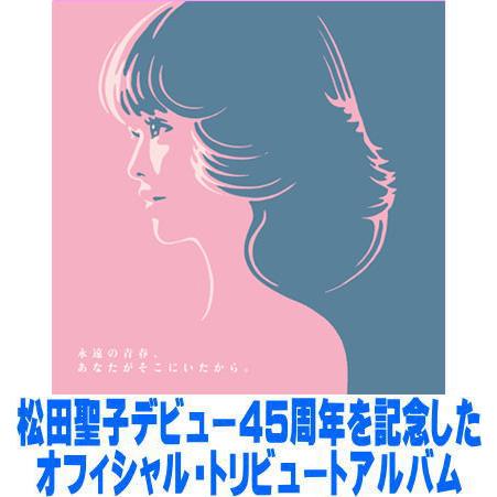 ヴァリアス・アーティスト CD/永遠の青春、あなたがそこにいたから。〜45th Anniversar...