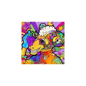 武道館盤(初回プレス/取) 応募チラシ(初回) アザージャケット めいちゃん CD/Humor 22...
