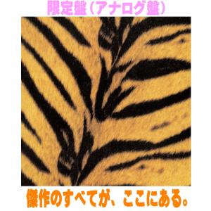 限定盤 (アナログ盤) THE HIGH-LOWS LP/Tigermobile 26/9/30発売