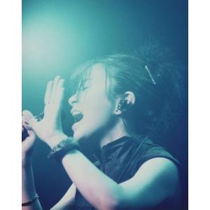 宇多田ヒカル Blu-ray/HIKARU UTADA LIVE CHRONICLES Luv Live (1999