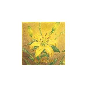 通常盤　Dragon Ash　CD/Lily　13/11/27発売　オリコン加盟店
