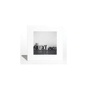 メーカー終了 ※DVD完全生産限定盤 (取) サカナクション 2DVD