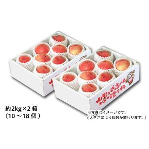 山形の白桃 ご自宅用 約2kg×2箱(25-S2)...