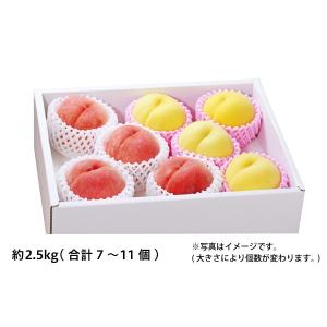 白桃・黄桃セット 約2.5kg/7〜11個(51-Z)...