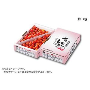 ご自宅用山形さくらんぼ紅秀峰 バラ詰約1kg（67-H）｜ajfarm