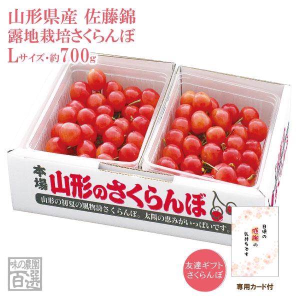 友達ギフトさくらんぼ 露地栽培 最盛期佐藤錦バラ詰700ｇ Lサイズ(67-W)