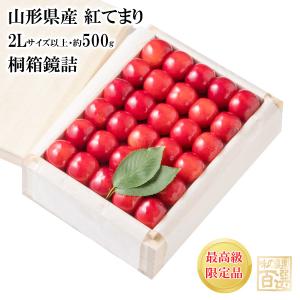 お中元さくらんぼ 紅てまり 桐箱鏡詰約500g 2Lサイズ以上(72-TO)｜ajfarm