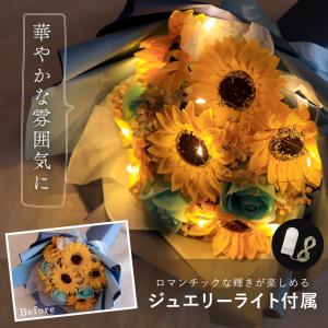 固まるハーバリウム COOL A*RT 3Dプレミアム 1.6L (A液800ml・B液