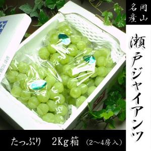 送料無料 岡山県産　瀬戸ジャイアンツ　2〜4房/箱（約2kg）ご自宅用  お供え