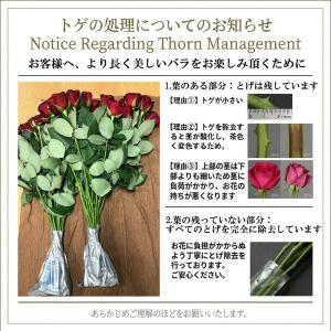 母の日2026予約 最高級バラ花束50本 赤 ...の詳細画像5