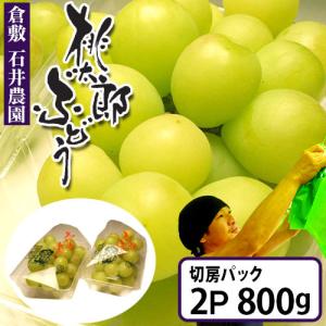 石井農園の桃太郎ぶどう　切房パック×2個入　計800ｇ　種なしで皮ごと食べるまるで爽やかなゼリーのようなぶどう　ご自宅用パック