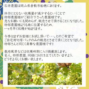 石井農園の桃太郎ぶどう 切房パック×2個入 計...の詳細画像1