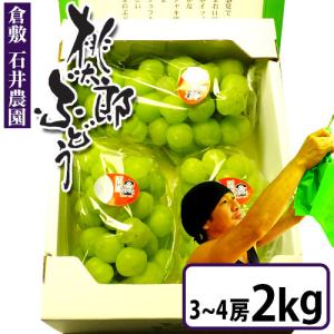 南高梅 青梅【 秀品 3Lサイズ 10kg 】本場紀州産 クール便 送料無料