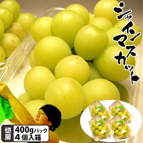 石井農園 シャインマスカット 自宅切房パック 4P入箱