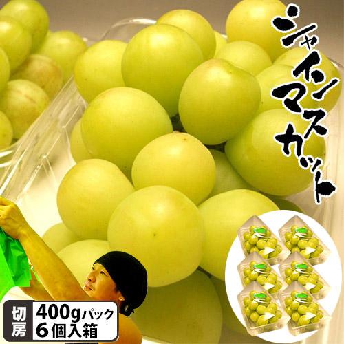 石井農園 シャインマスカット 自宅切房パック 6P入箱