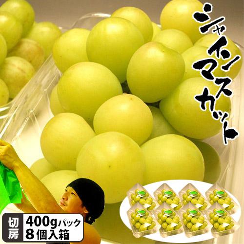 石井農園 シャインマスカット 自宅切房パック 8P入箱