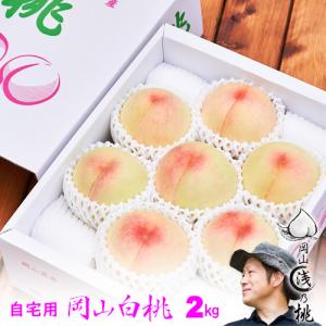 早期ご予約受付中 〇浅 岡山白桃 早生 自宅用 ...の商品画像