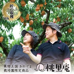 早期ご予約受付中 〇浅 岡山白桃 早生 自宅用...の詳細画像3