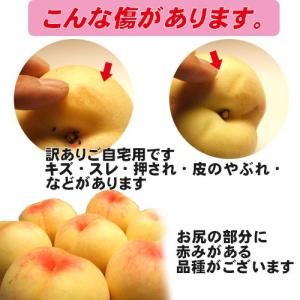 早期ご予約受付中 〇浅 岡山白桃 早生 自宅用...の詳細画像4