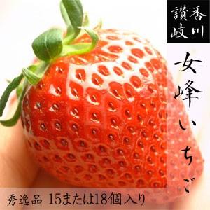 幻の女峰いちご 香川県三木町産 秀15もしくは18個入/箱 最高級苺 送料