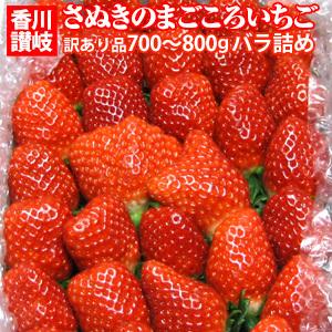 女峰いちご　訳ありご自宅用　700?800ｇバラ詰め　香川県三木町産　希少な幻の苺のご自宅用　さぬきのまごころいちごバラ詰め　送料無料