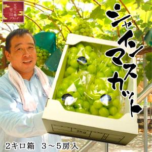 南高梅 青梅【 秀品 3Lサイズ 10kg 】本場紀州産 クール便 送料無料