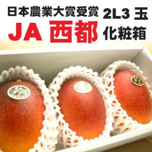 JA西都 宮崎　完熟マンゴー太陽のタマゴ2Lサイズ3玉　化粧箱｜ajien
