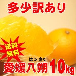 訳あり・ご自宅用 愛媛産八朔（はっさく）10キロ満杯詰め｜ajien