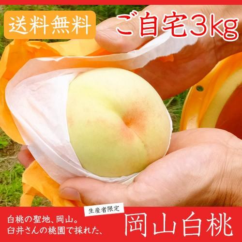 早期ご予約受付中 臼井桃園　岡山県産白桃　自宅用 3kg箱　生産者限定商品　訳あり品